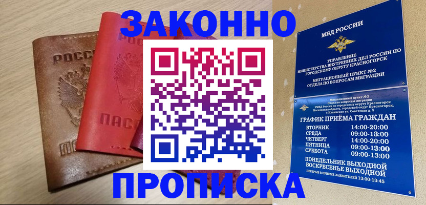 временная регистрация собственник в Пласте